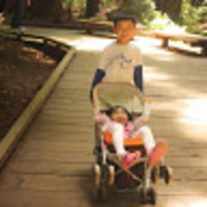 Meet your Posher, Hongming